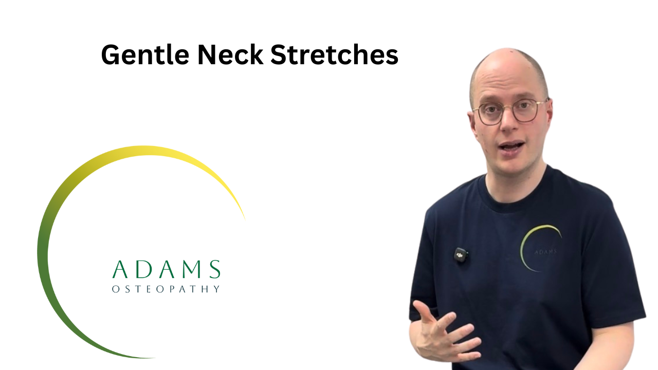 Neck Stretches -2.png