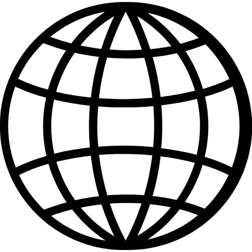 Black globe icon with grid lines representing the Earth or world.