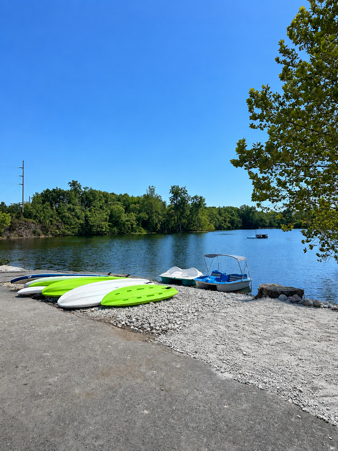 Colorful kayaks and paddle boats lined up on gravel and docked by a peaceful lake under a clear blue sky, with trees on the shoreline at silver cup lake adventures