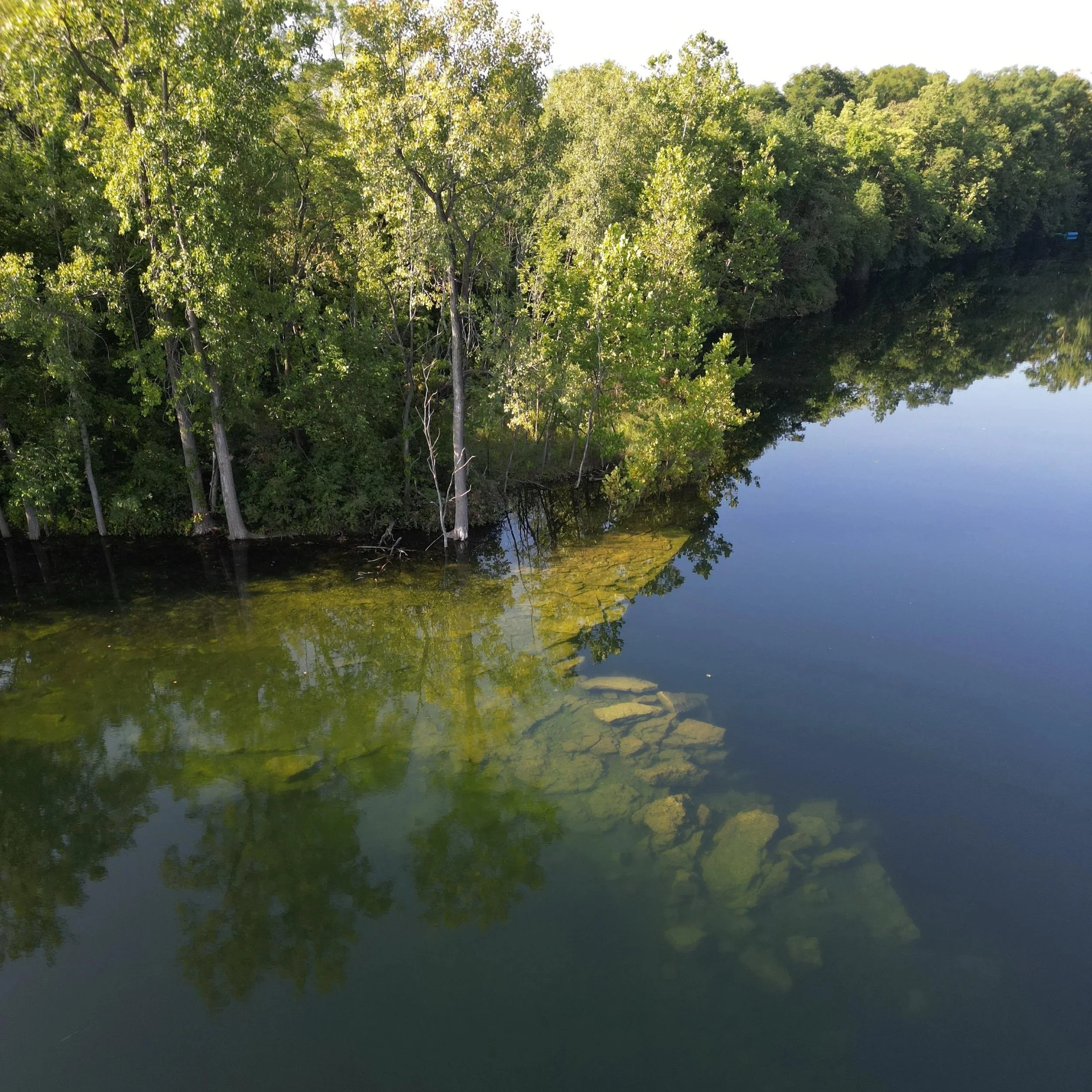 Calm lake reflecting trees and blue sky, with visible submerged rocks along the shoreline in a green, wooded area.