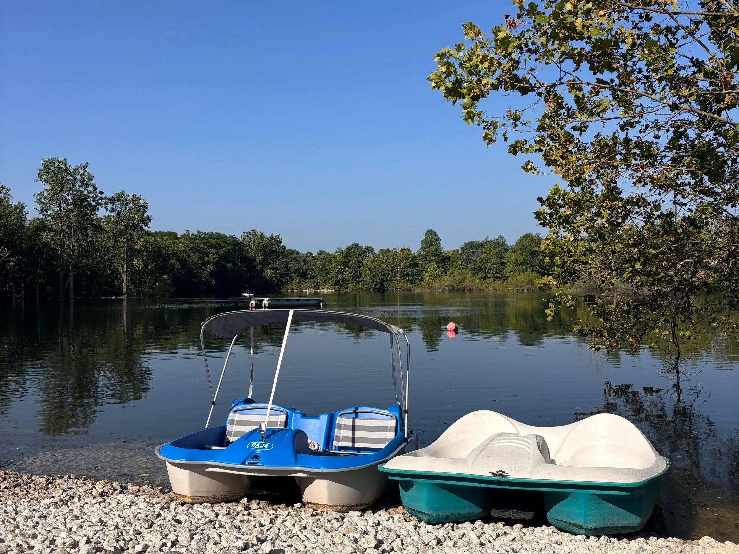 Pedal Boat Rental
