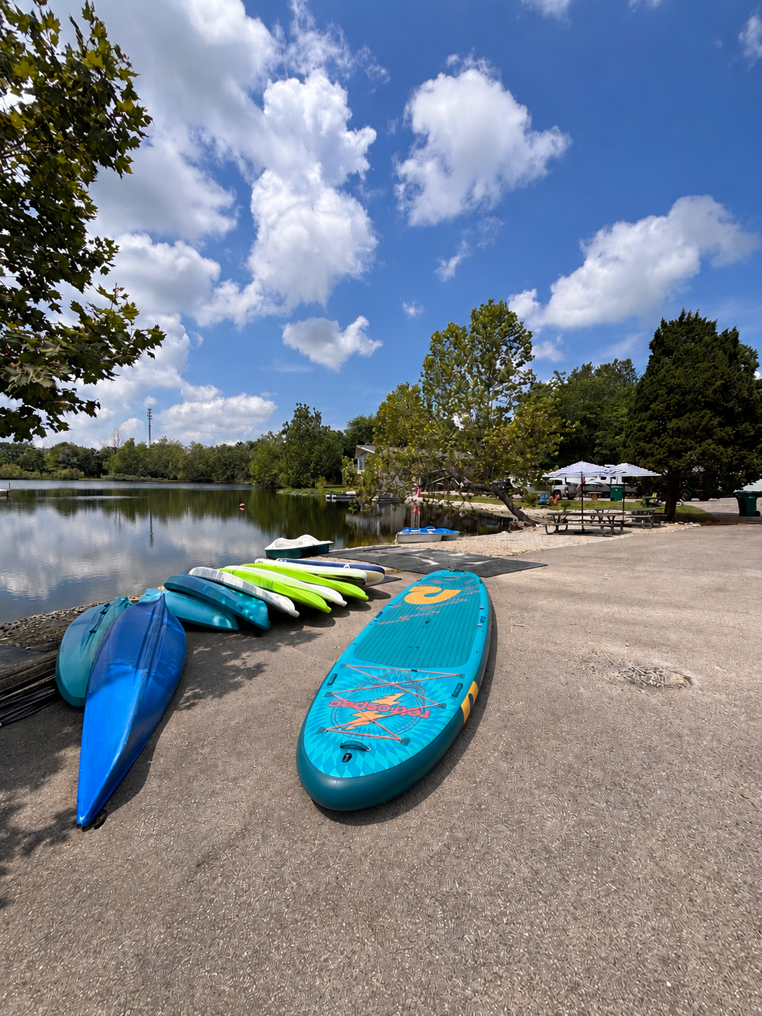 Party Board - 2 Hour Rental