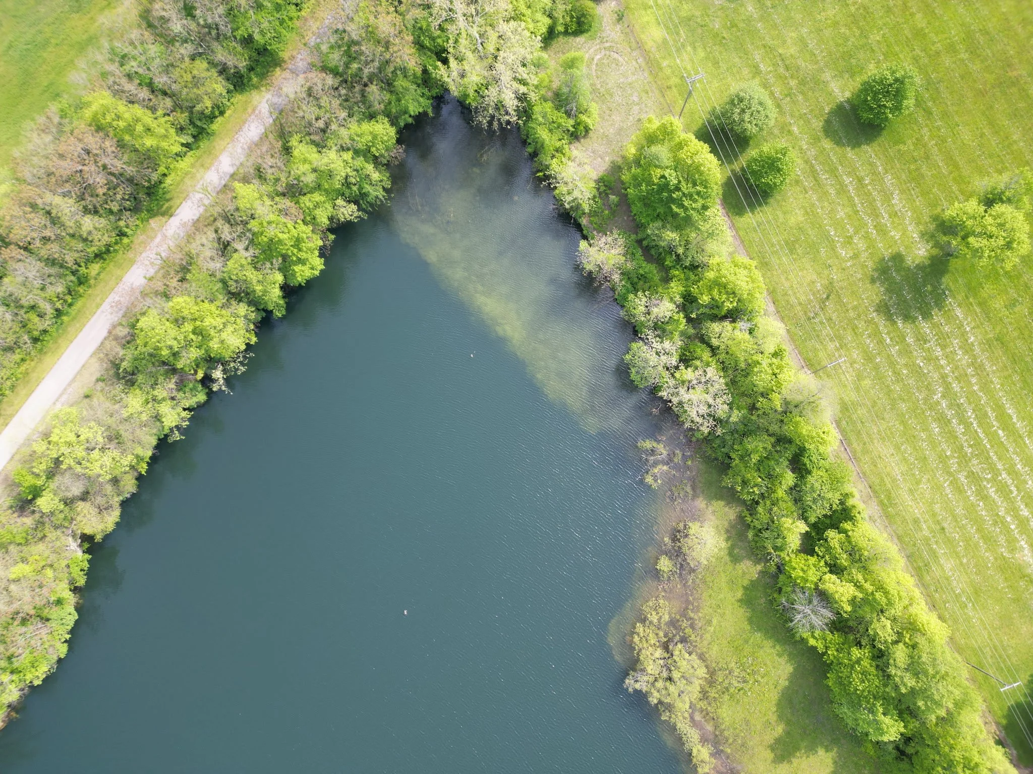 Aerial view of a small lake surrounded by lush green trees and fields with power lines running through.