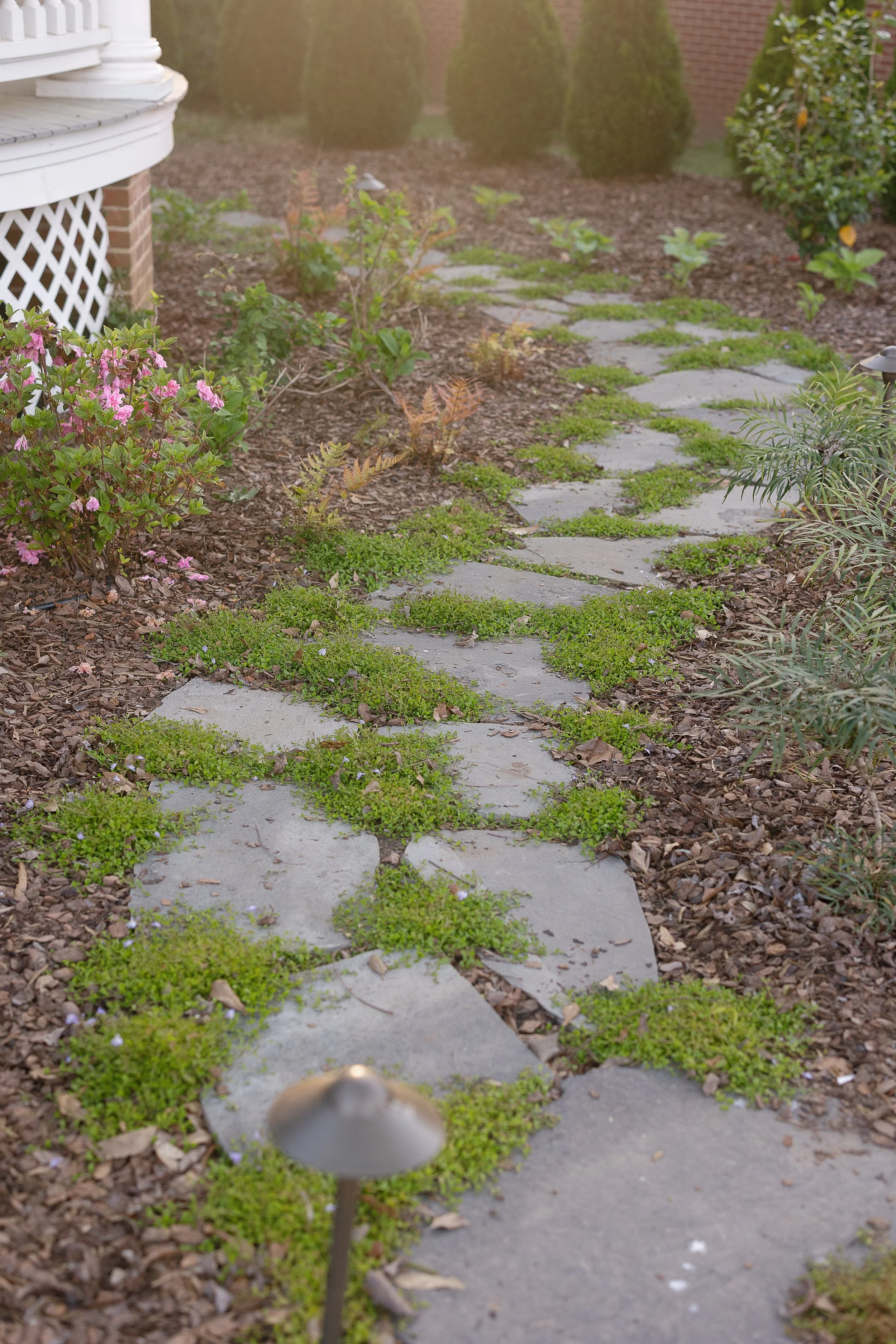 A stone pathway through a garden with pink flowers, green shrubs, and trimmed bushes in the background, taken during daytime.