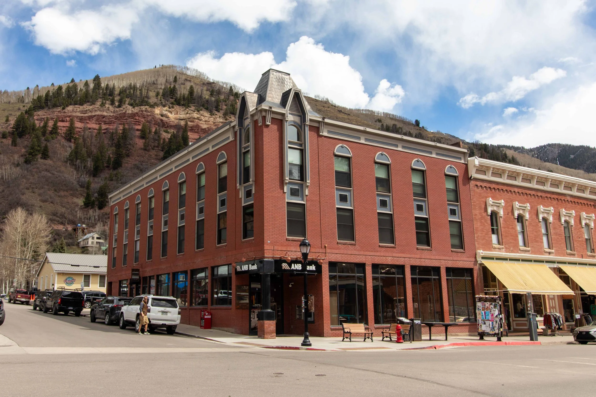 Telluride Black Bear