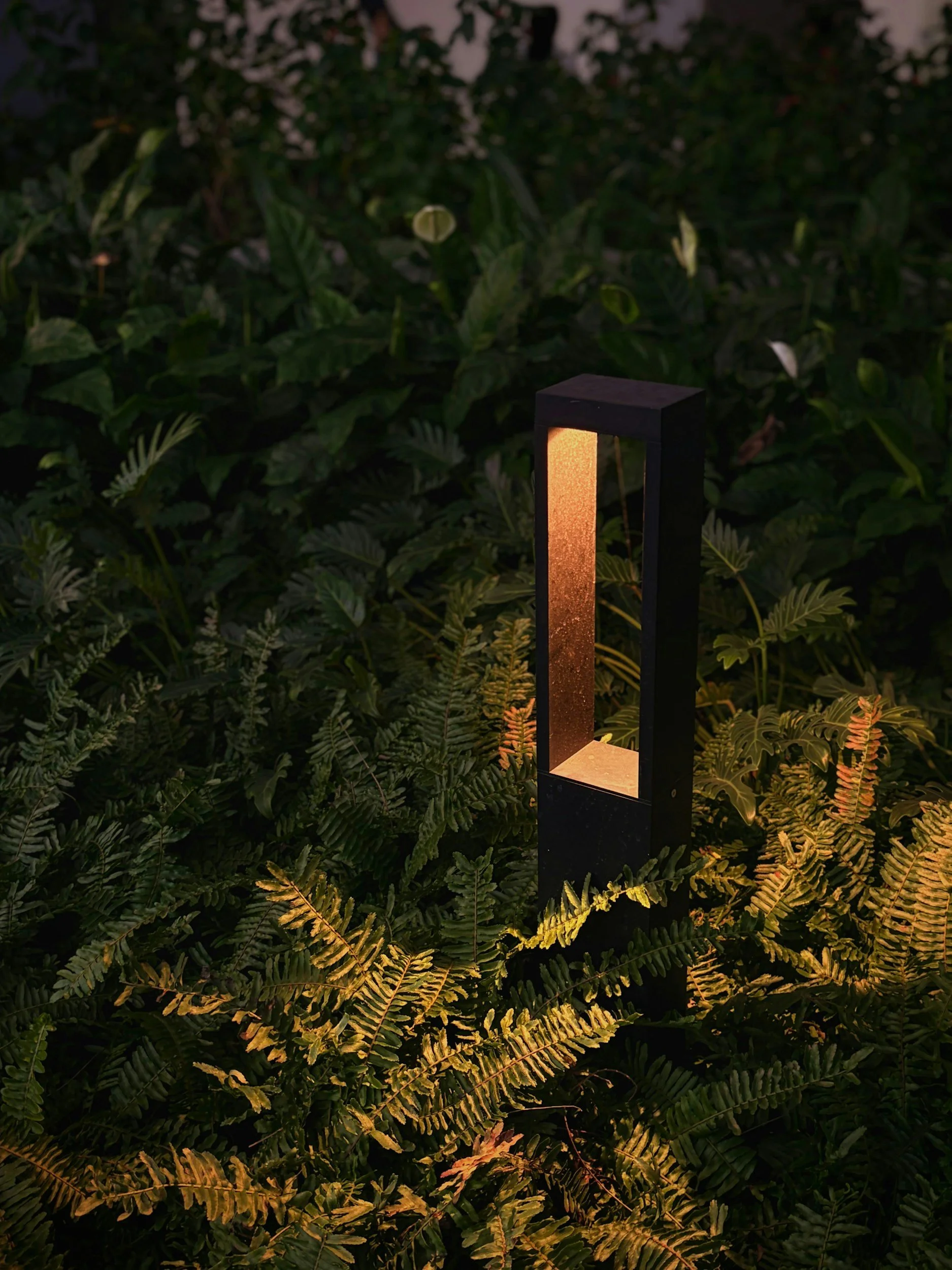 A modern outdoor lamp with a rectangular design emitting warm light, situated among lush green ferns in a garden at dusk or night.