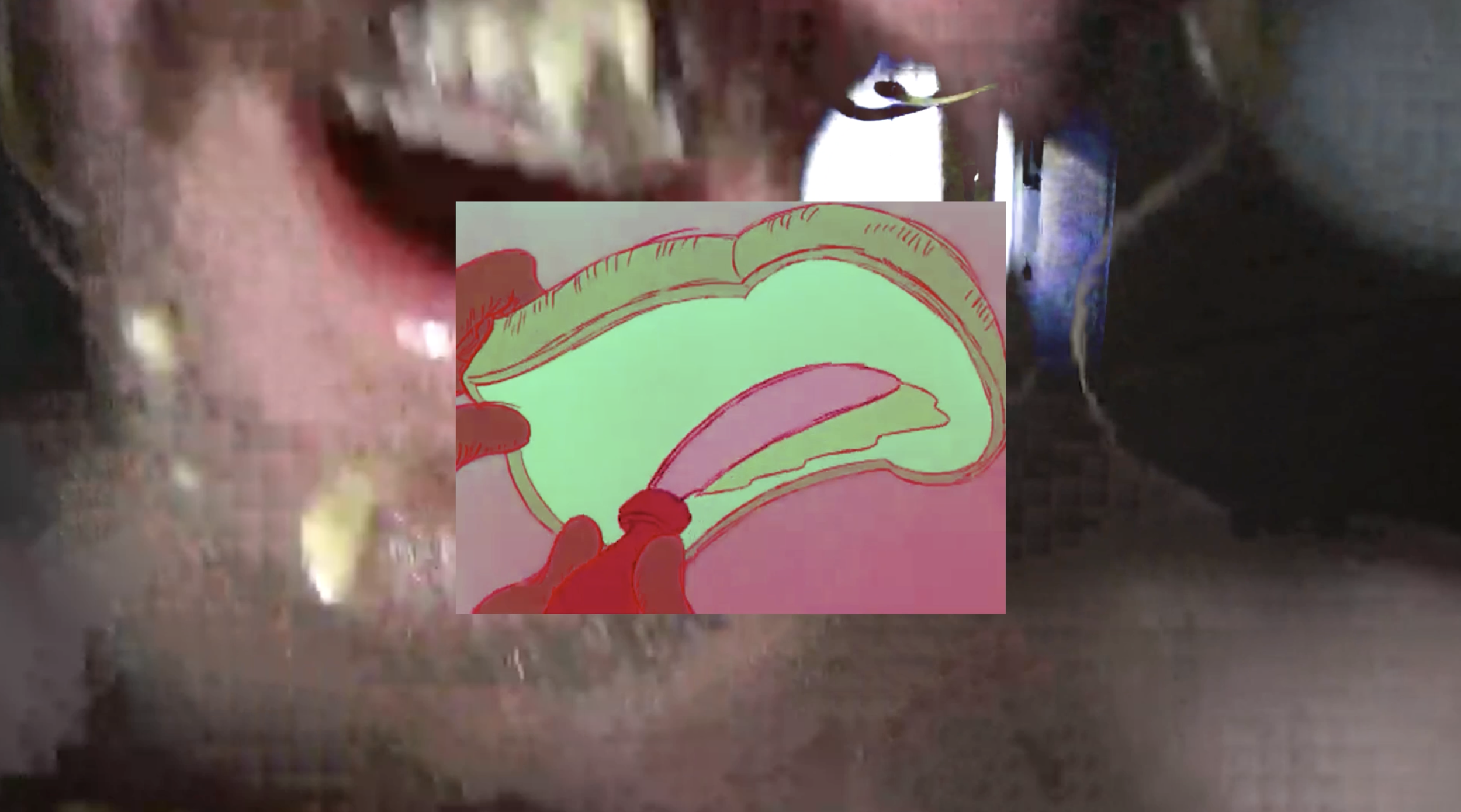flesh interface