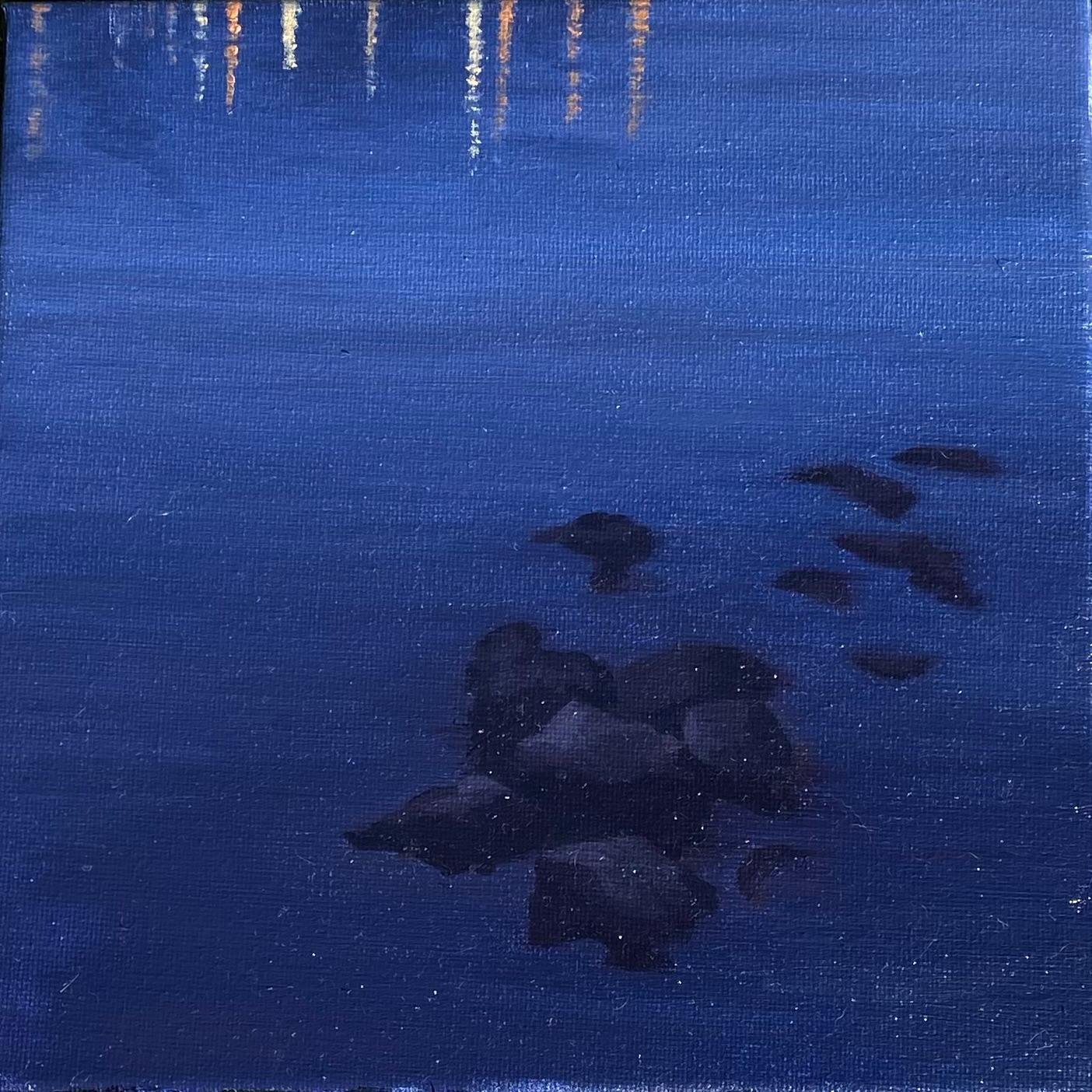 A group of ducks swimming on a dark blue body of water, with reflections of trees or light sources above.
