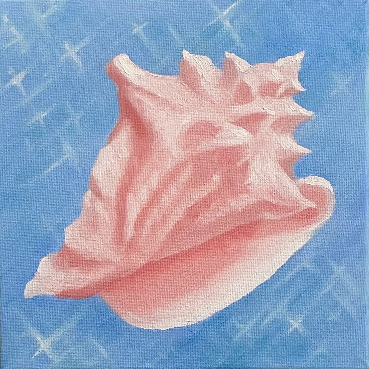 A pink seashell with spiky edges on a blue background with white stars.