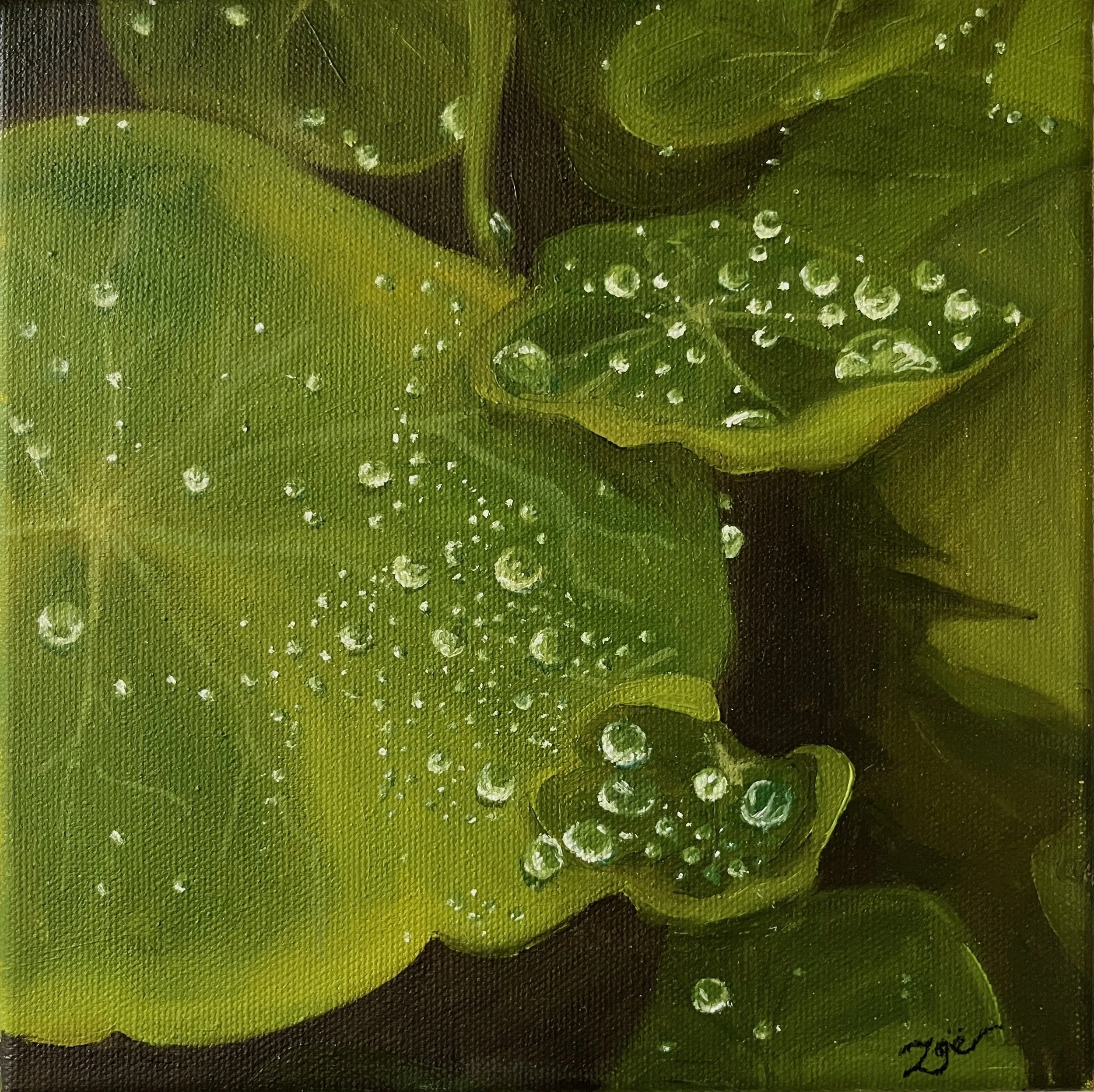Close-up of green leaves with water droplets on their surface.
