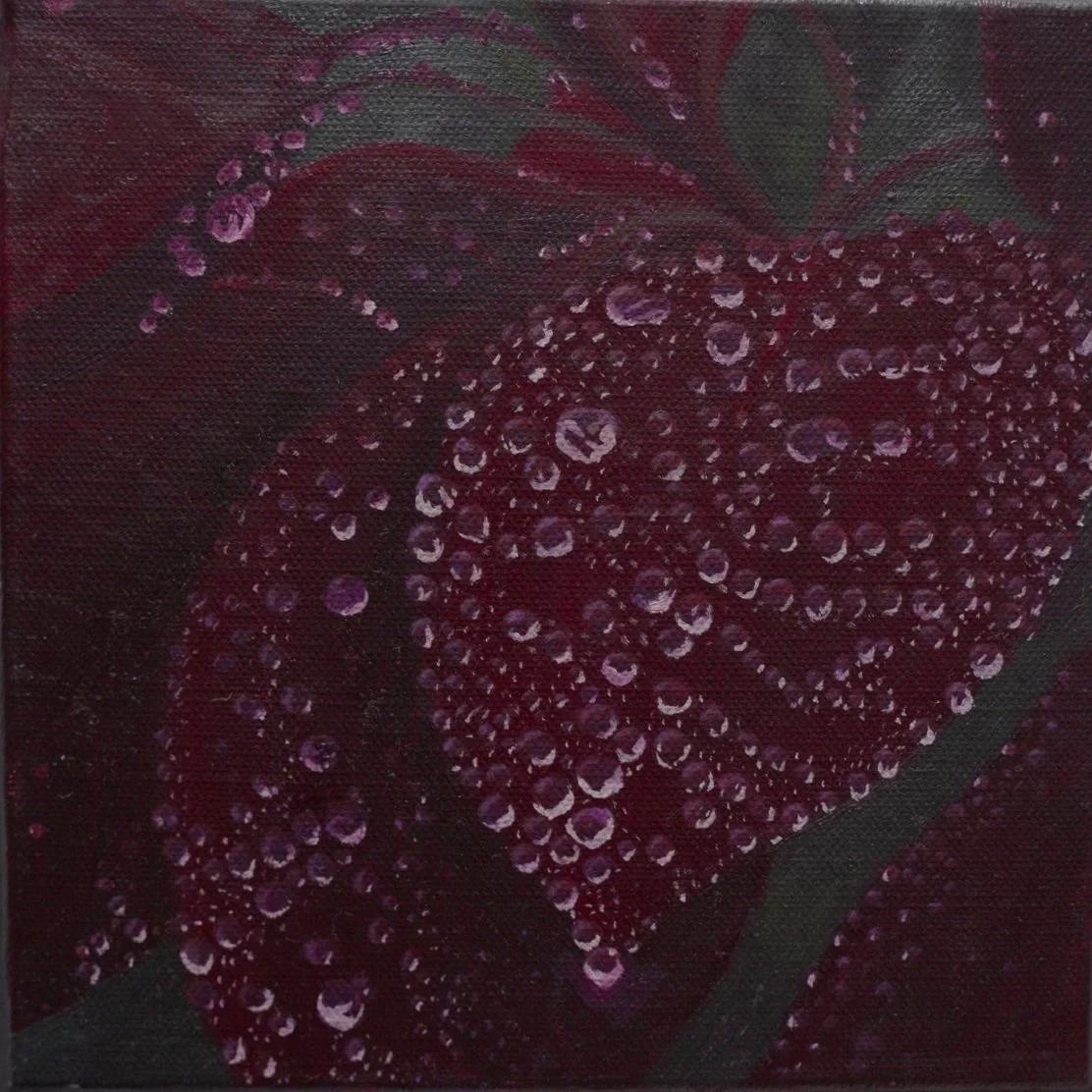 A dark-colored flower with purple and black petals, covered in water droplets.