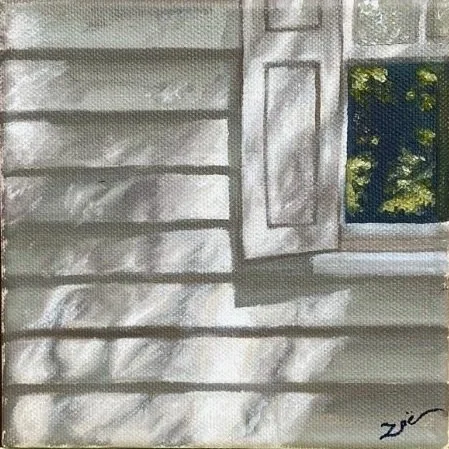 Close-up of a house exterior with beige horizontal siding, a small window with open shutters, and shadows of tree branches on the wall.