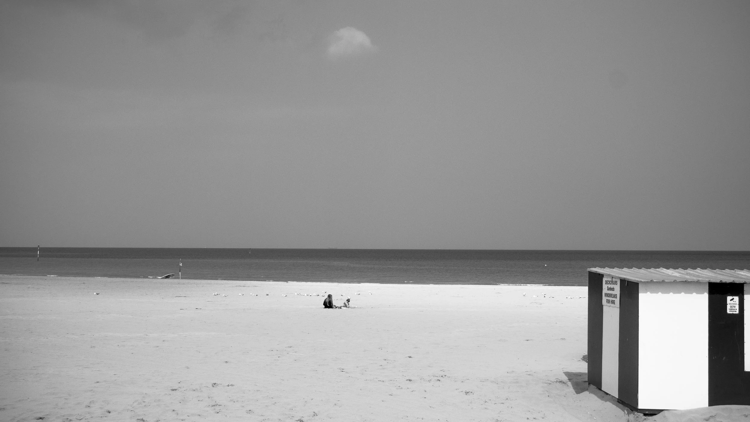 P1390013.jpg