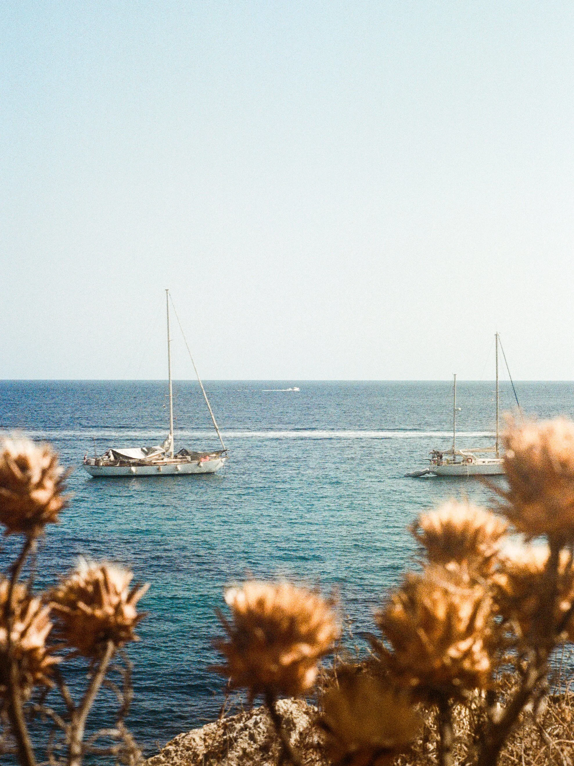 000143940011-2.jpg