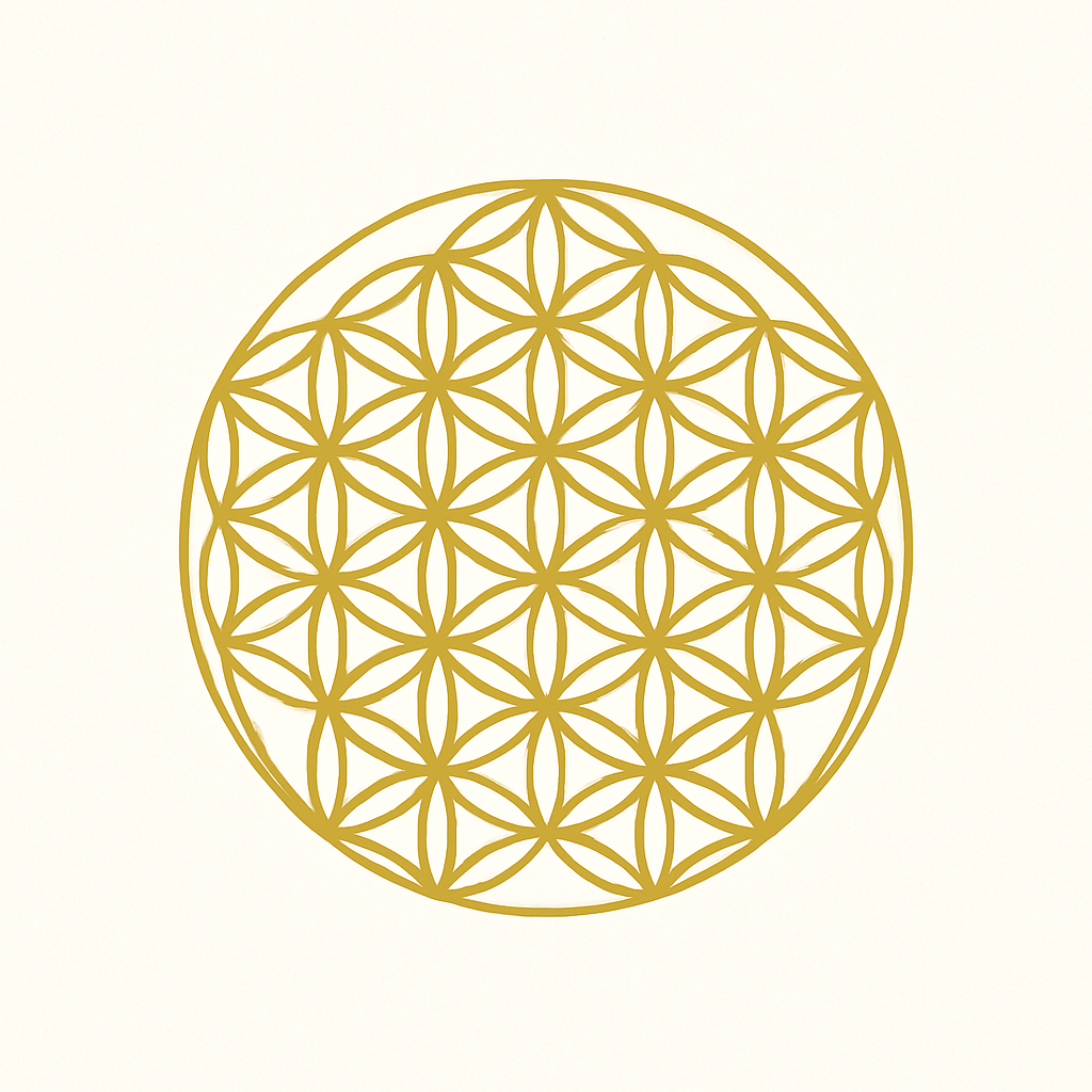 B8D83393-BB10-4C83-B077-C93BAF2479FC.png