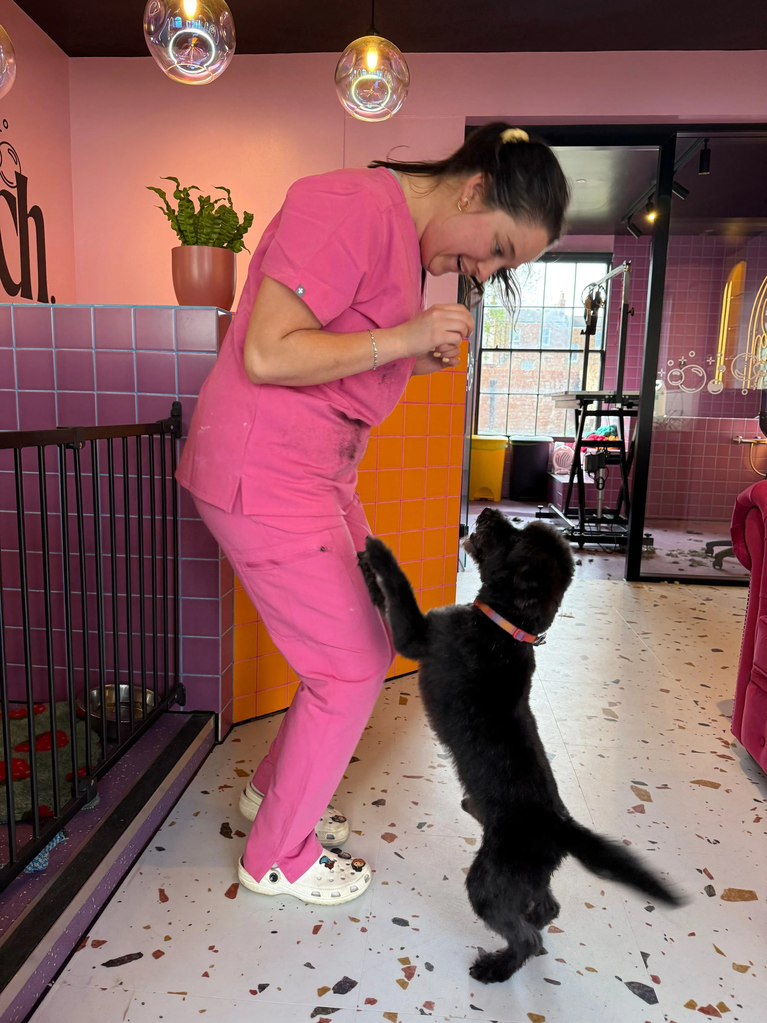 A woman in pink scrubs is playing with a black dog that is standing upright on its hind legs inside a colorful pet grooming salon. The woman is smiling and the dog has its front paws on her waist. The salon has pink tiled walls, a plant in a pink pot