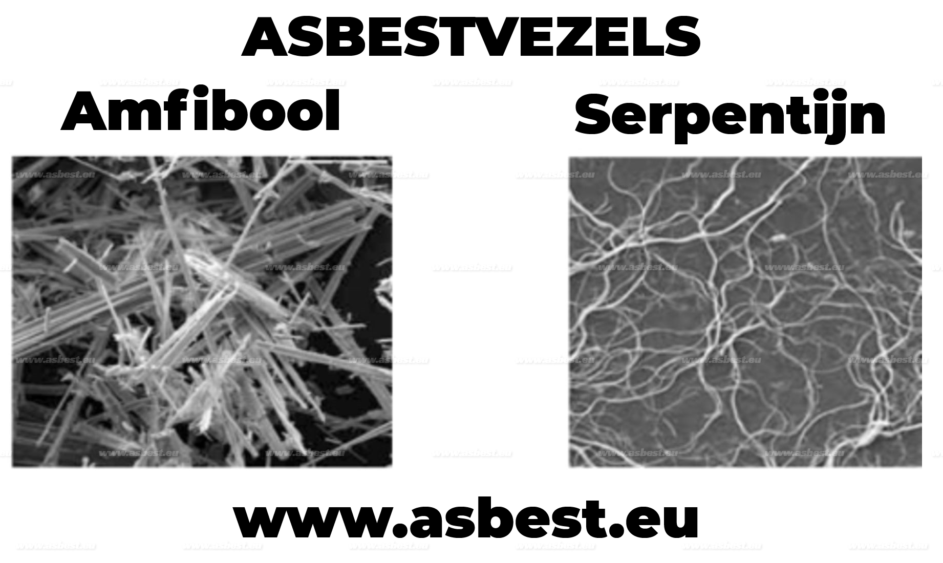 Asbest: Welke soorten asbestmineralen zijn er?