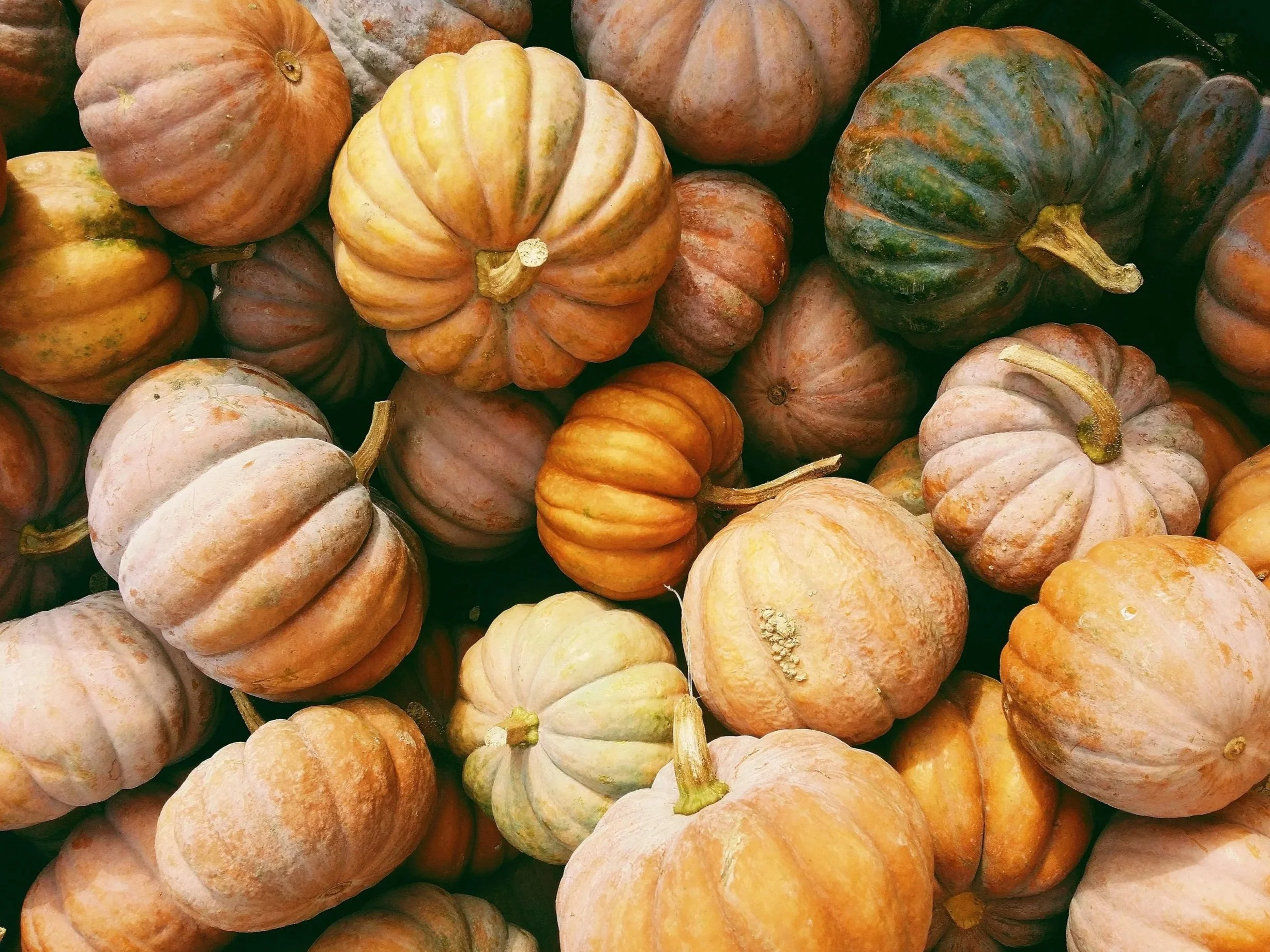 6 Gratitude Practices to Try this November