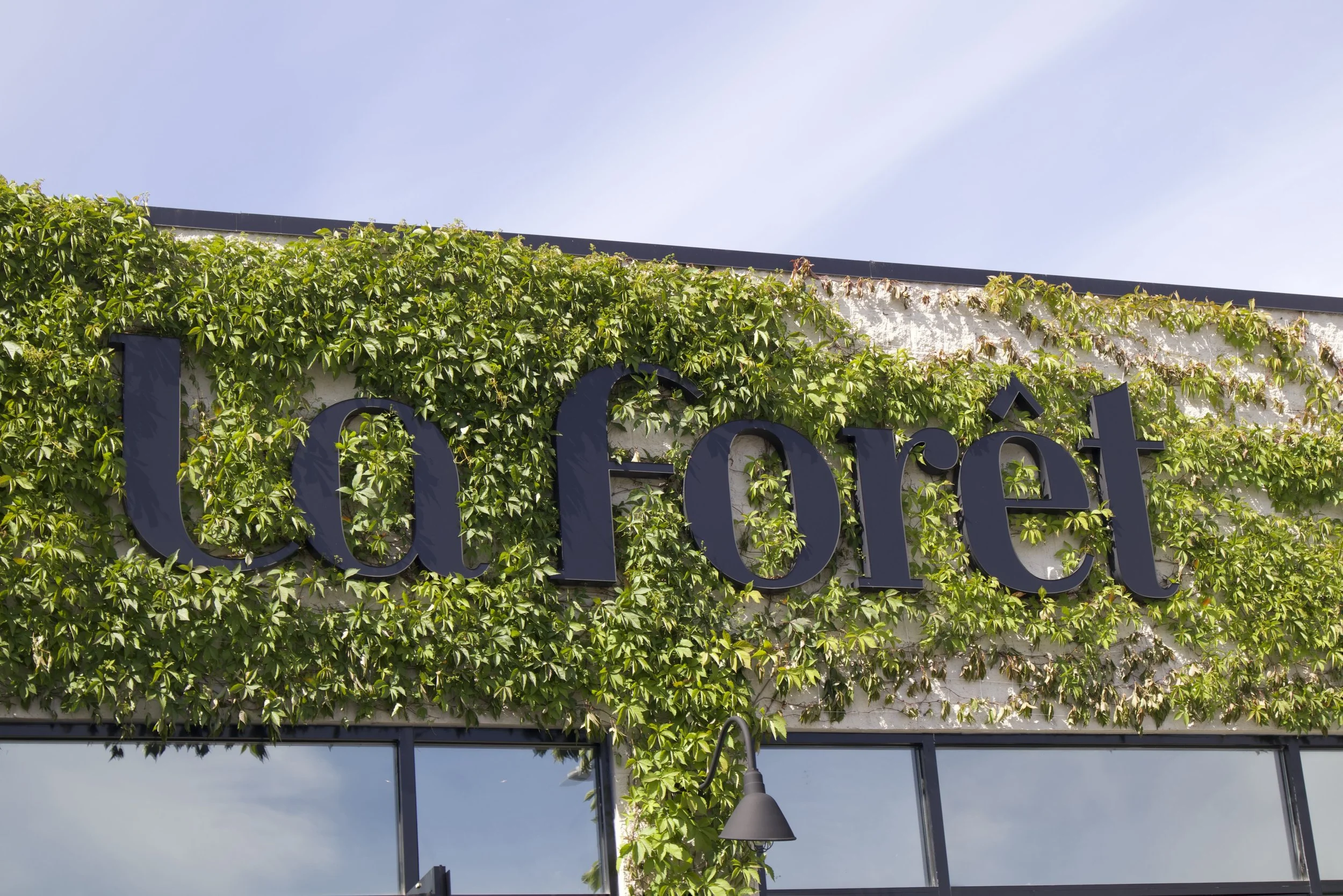 La Forêt Café — best cafe near Burnaby for coffee, brunch and desserts