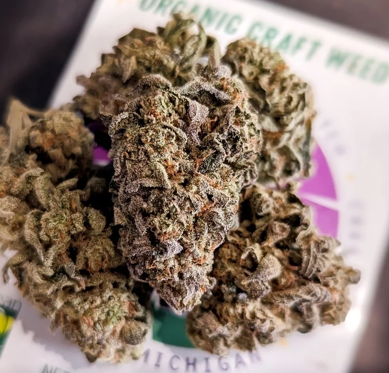 Silverback Gelato