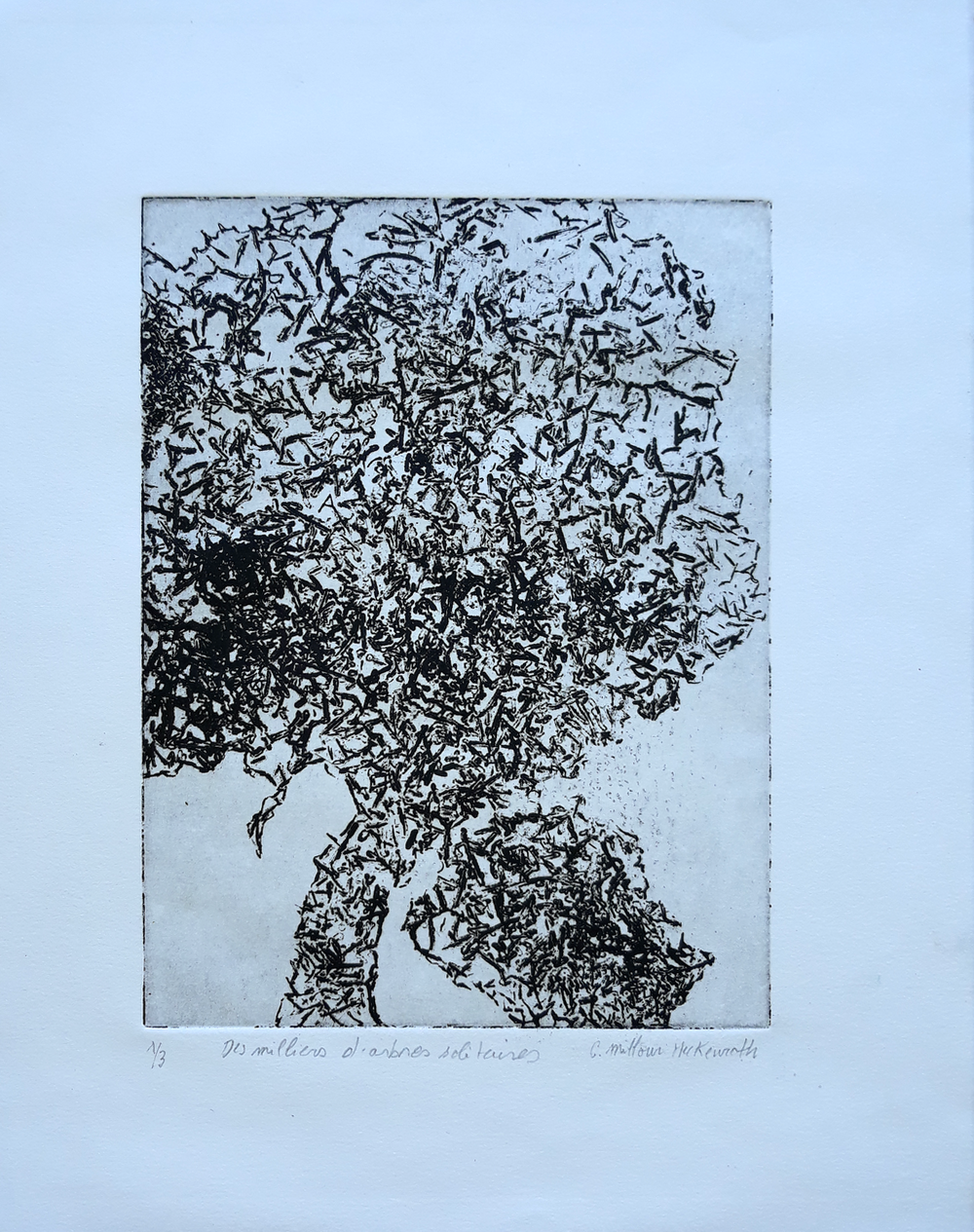 Collection gravure