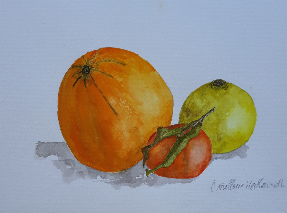 Collection fruits