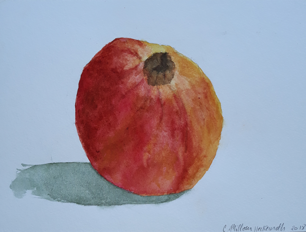 Collection fruits