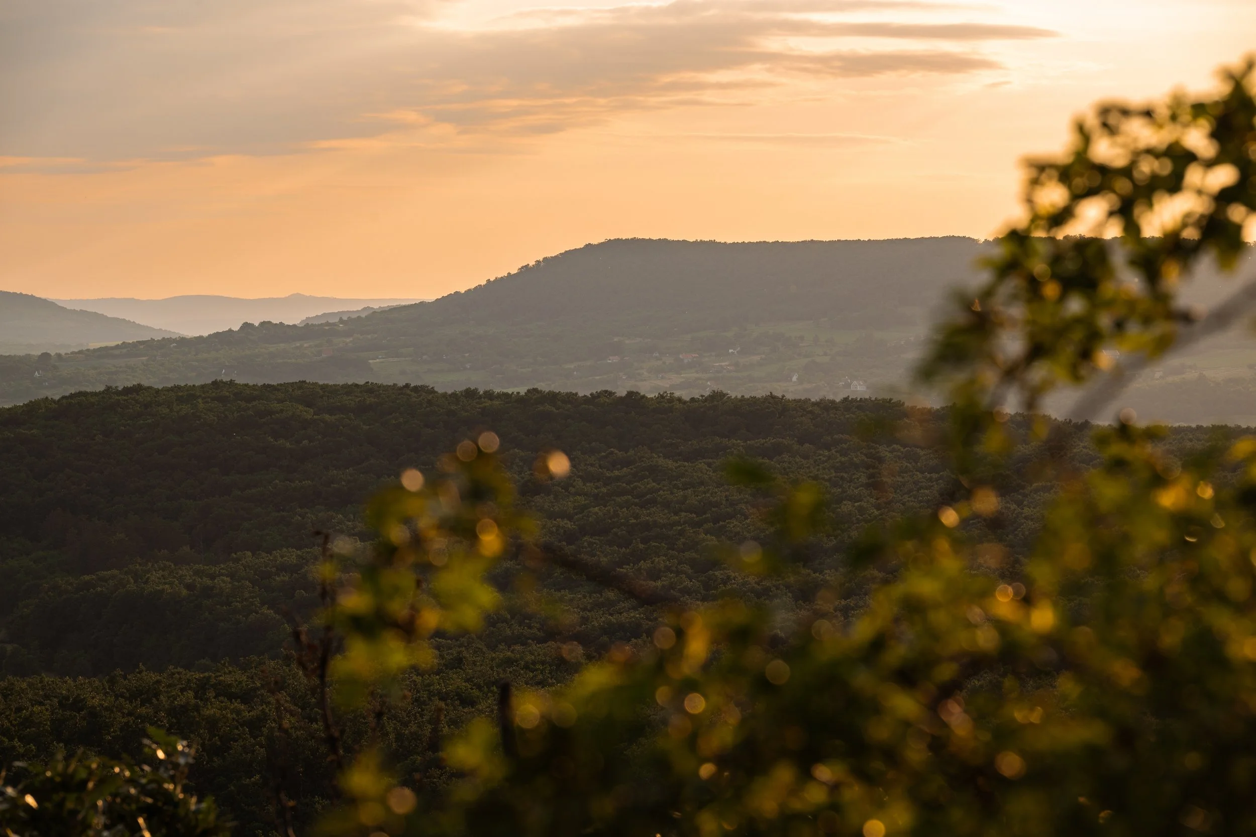 Golden Hour Shooting