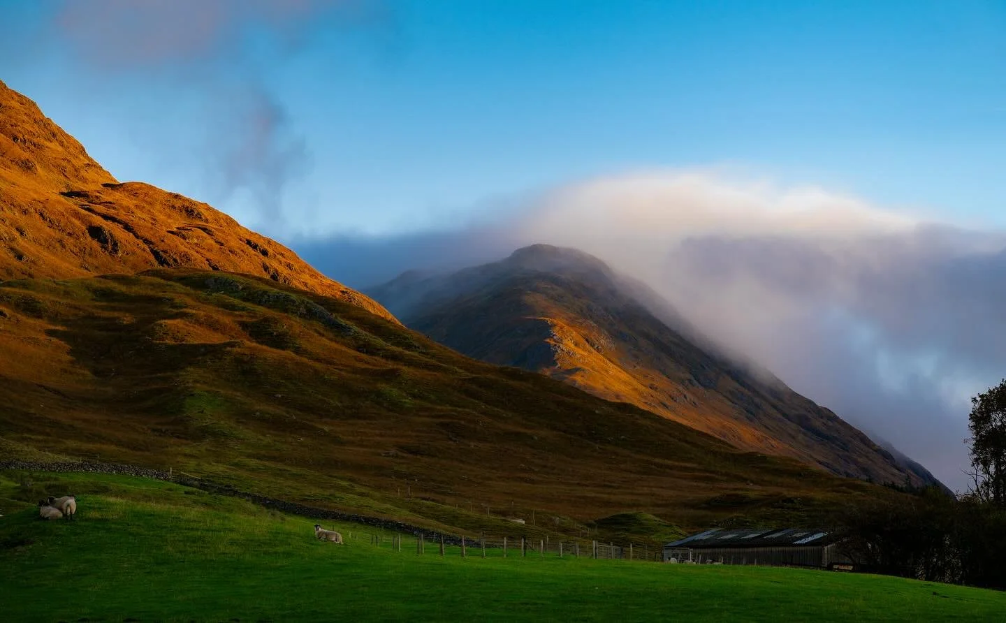 Although I’m not always a fan of the shorter days, can’t deny autumn is wonderful for the morning light. And you don’t even have to be out massively early to catch it!
#scotland #mountains #autumn #naturallightphotography #landscap