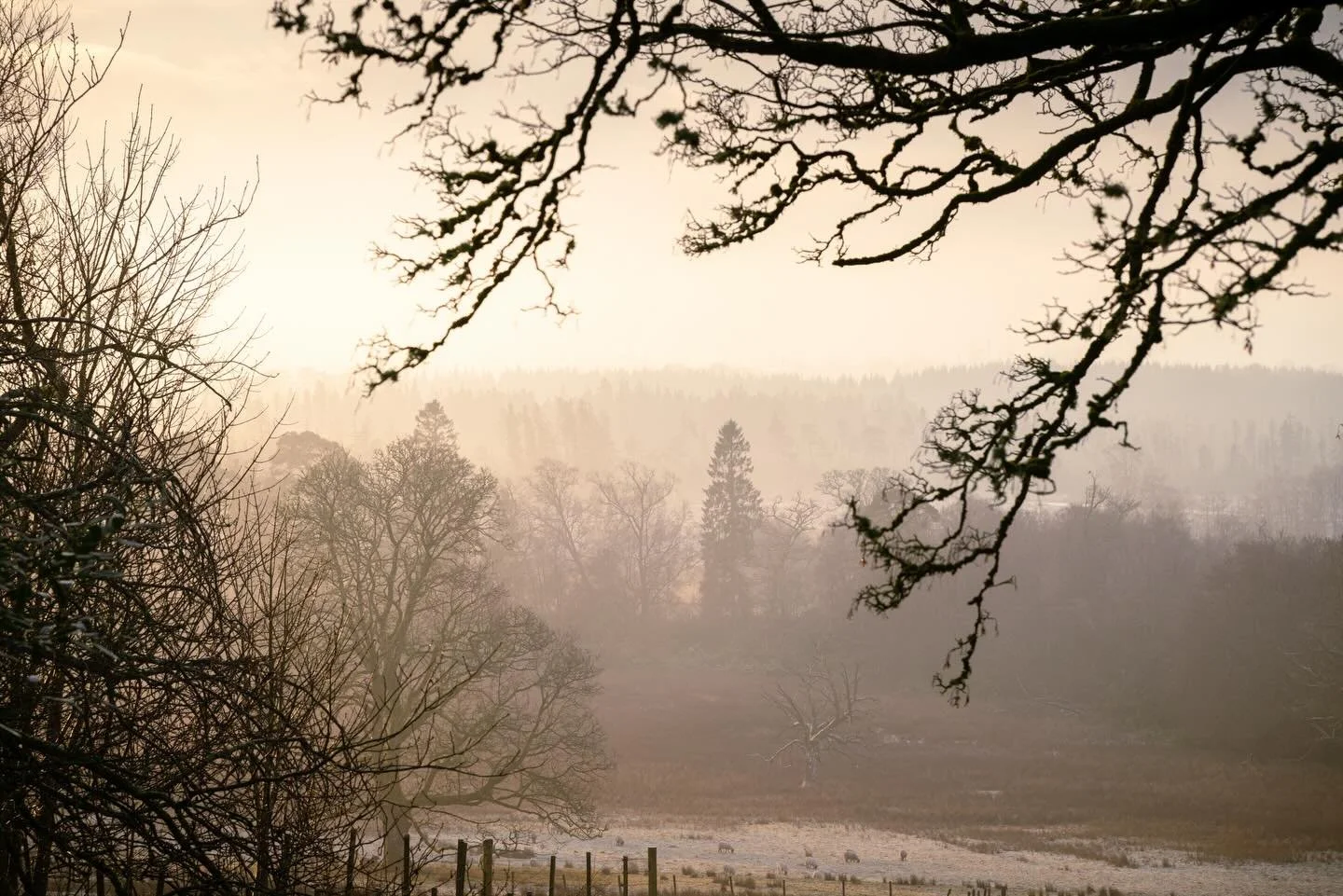 Still struggling to believe I get to live with this view every morning. 

#newhome #landscapephotography #scotland #stirlingshire