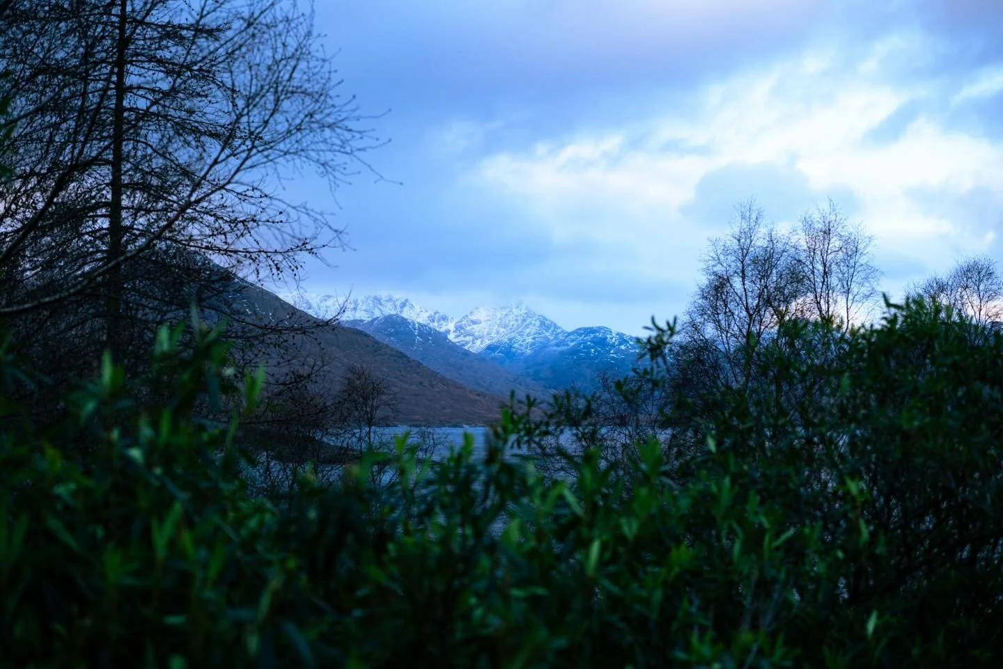 The beautiful hills around loch Quoich were looking particularly fine in the morning light. Little visited compared to much of Scotland it is no doubt beautiful for its quietness. Always grateful for this beautiful country. 

#scotland #munro #landsc