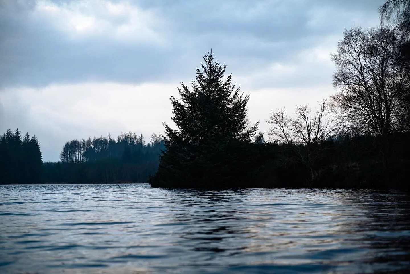 Sometimes you need to find a still moment in the rush of modern life. This shot from a quiet spot near our house and I loved how the almost isolated tree loomed over the water. 

#scotland #loch #landscapephotography #nikon