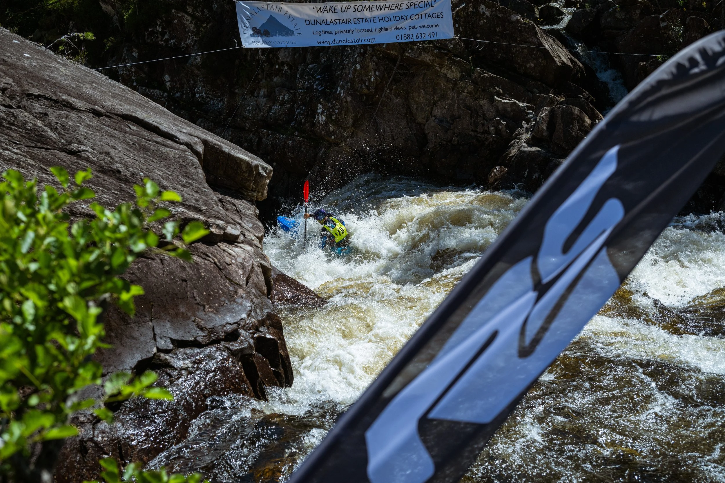 DSC_3396.jpg