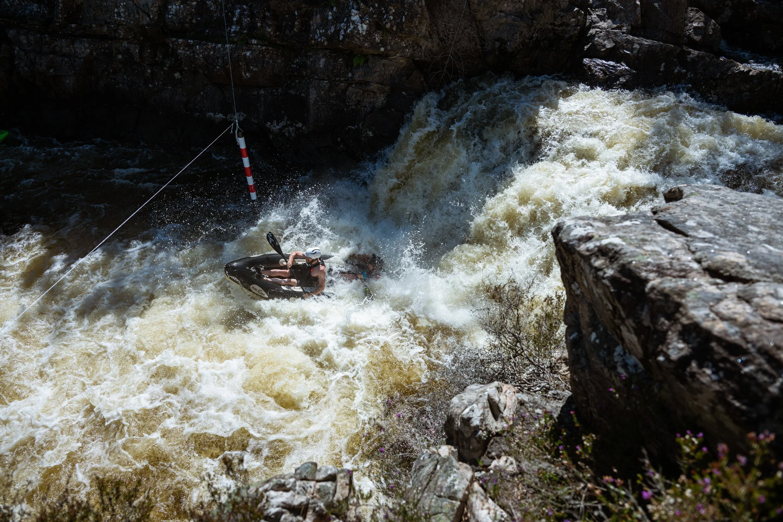 DSC_3446.jpg