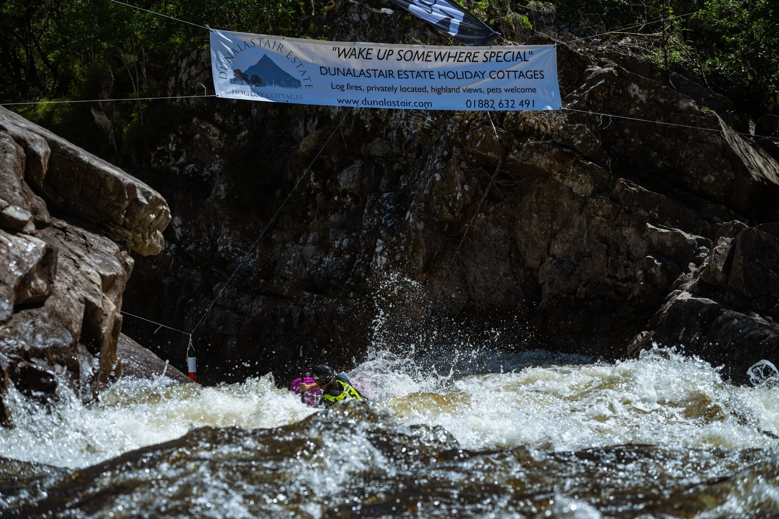 DSC_3338.jpg