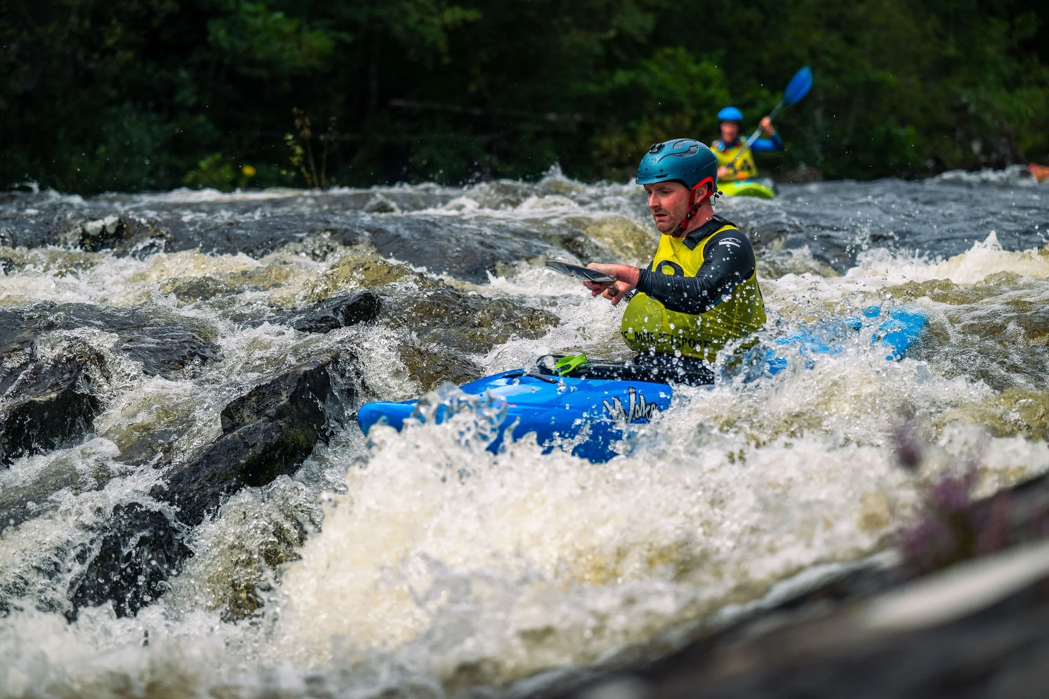 DSC_3684.jpg