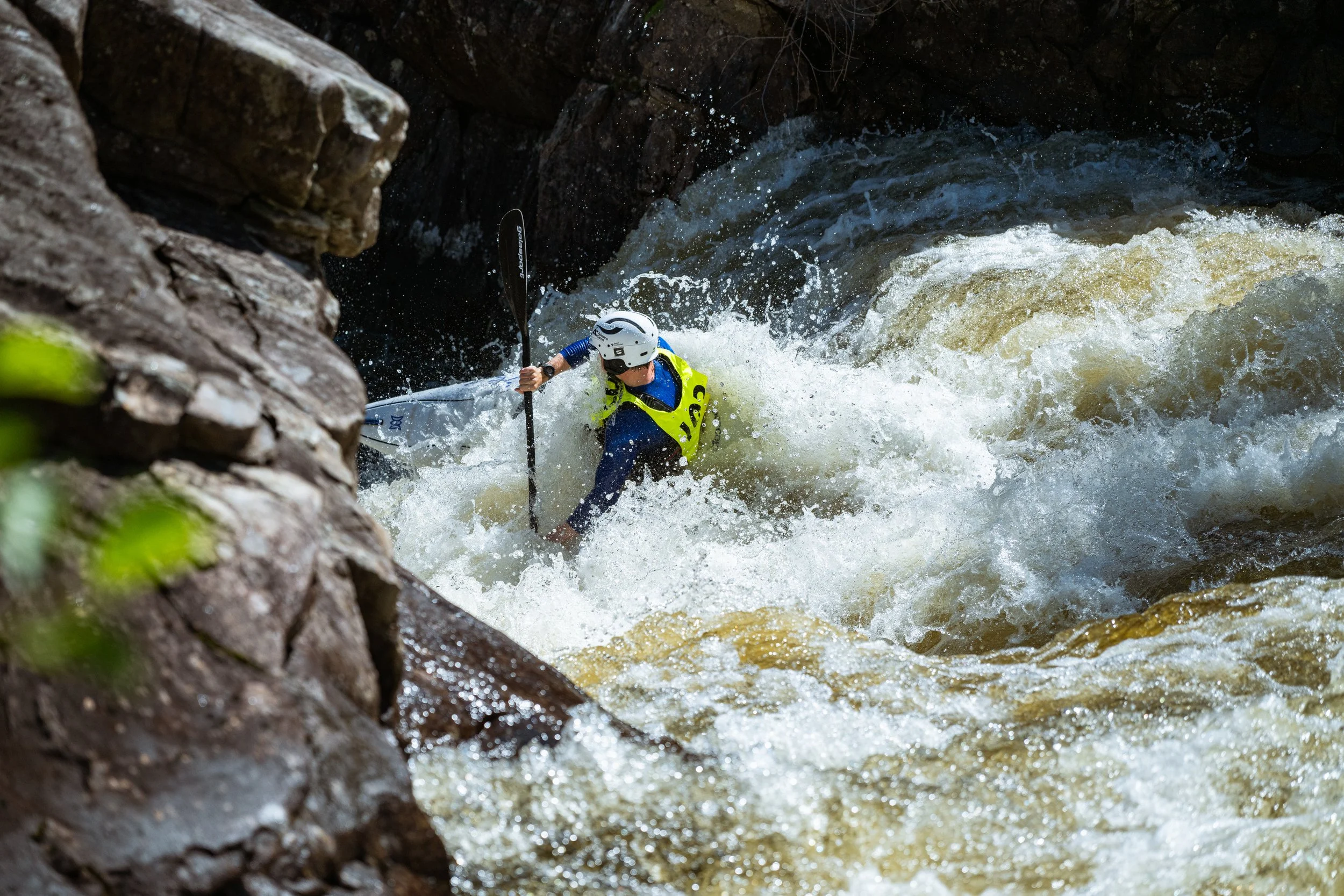 DSC_3364.jpg