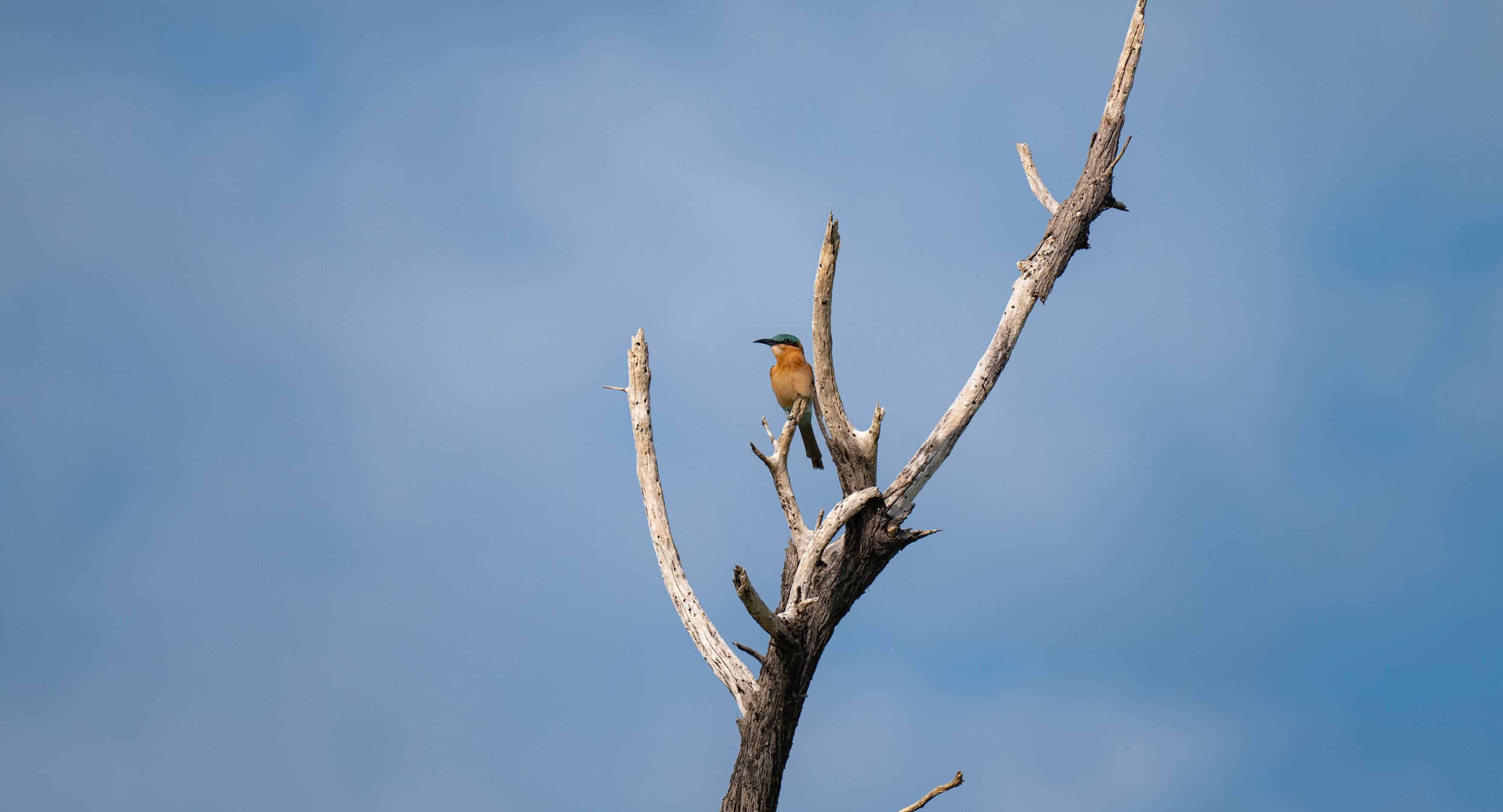 DSC_5915.jpg
