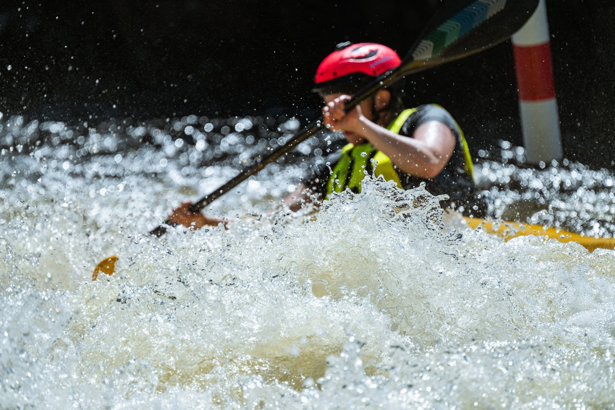 DSC_2779.jpg