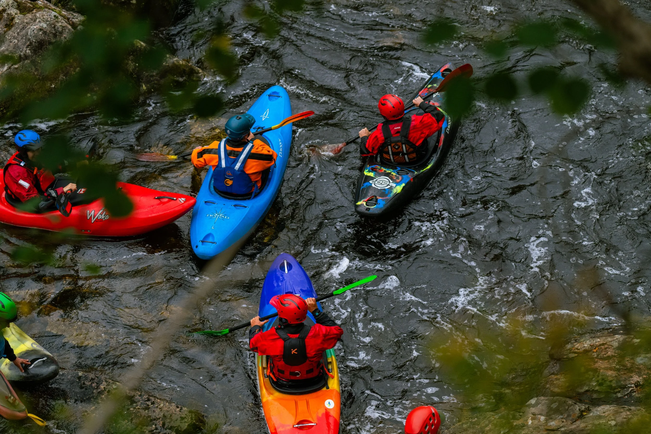 DSC_7658.jpg