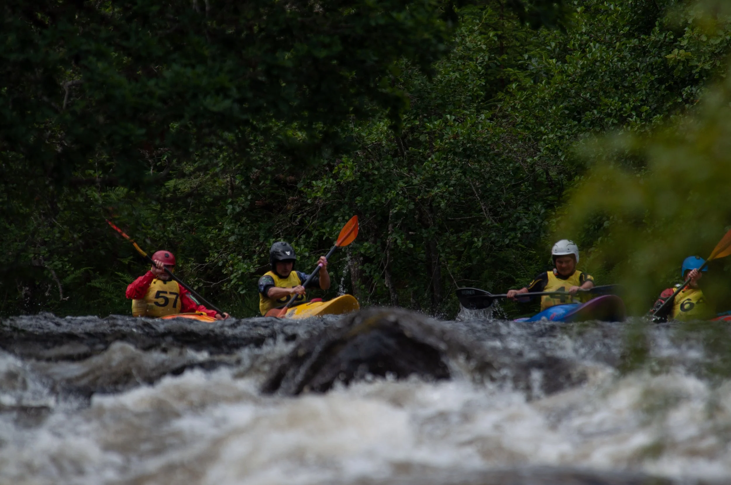 DSC_0447.jpg