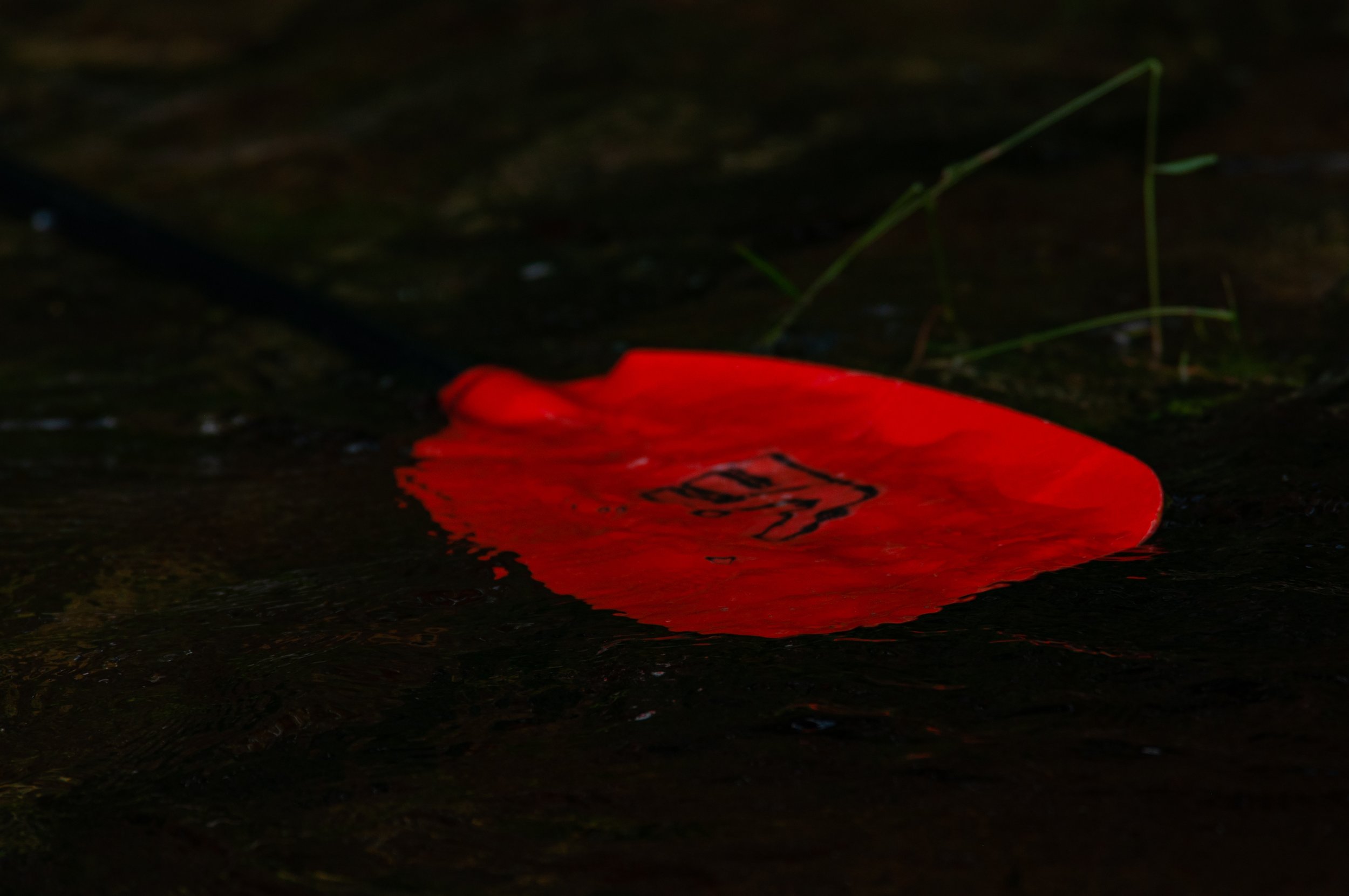DSC_0657.jpg