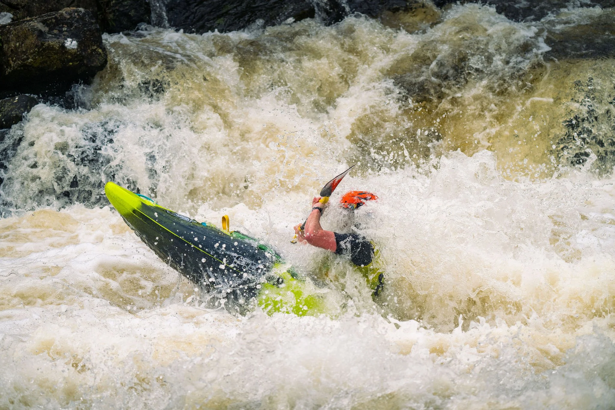 DSC_3797.jpg