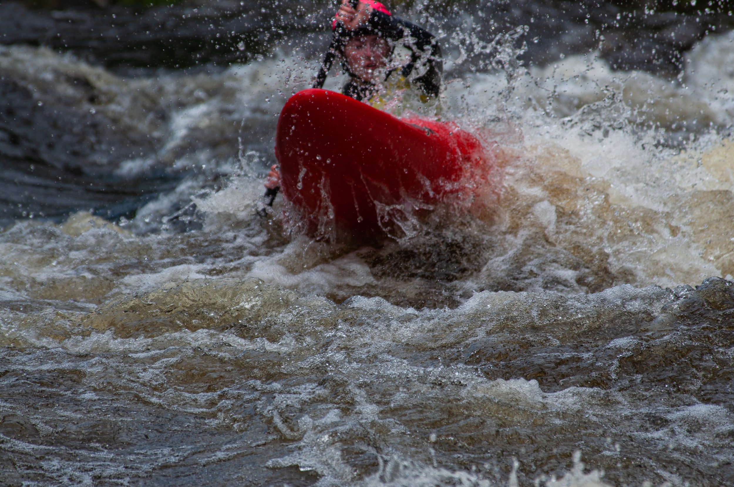 DSC_0806.jpg
