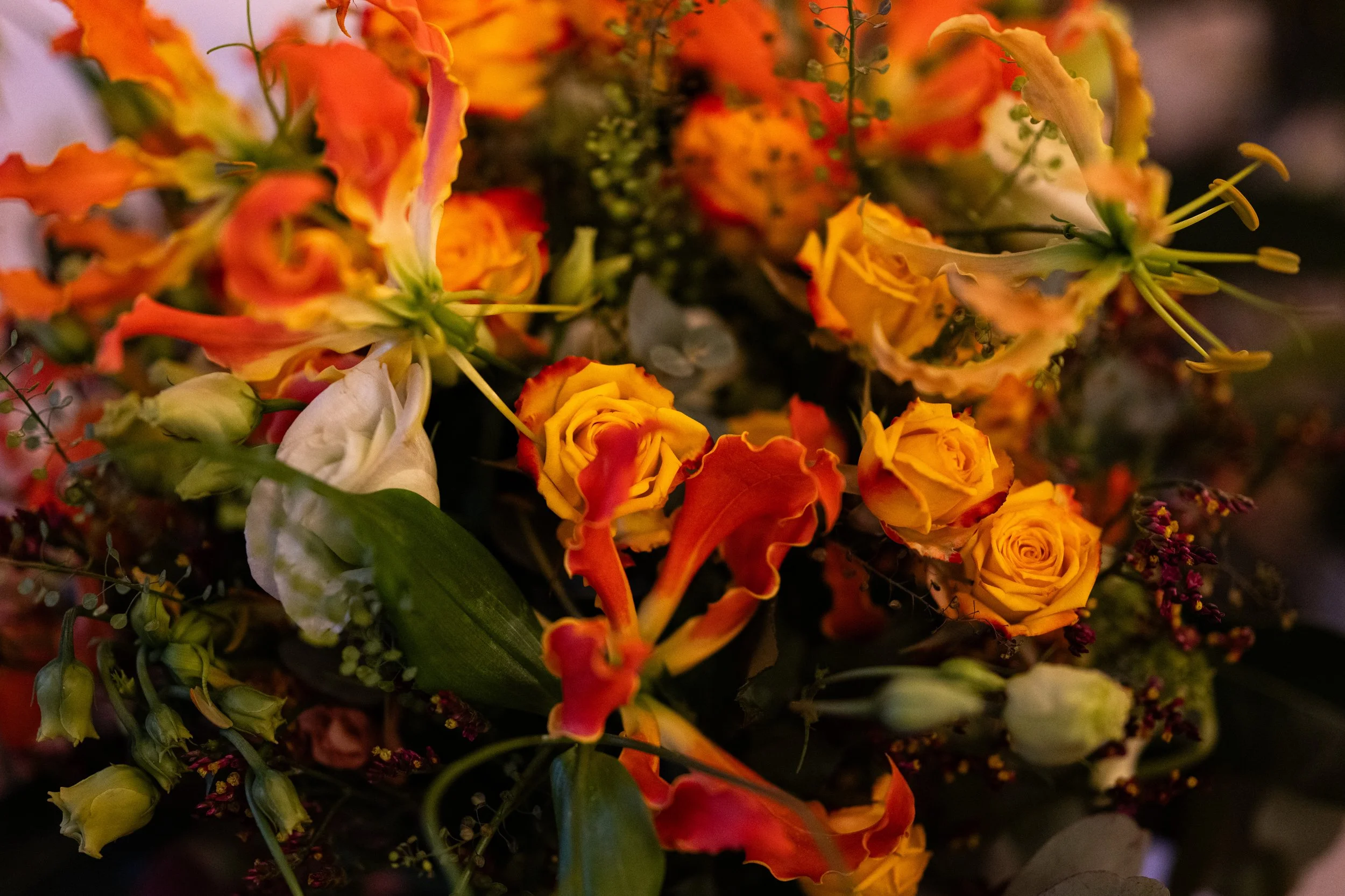 DSC_1138.jpg