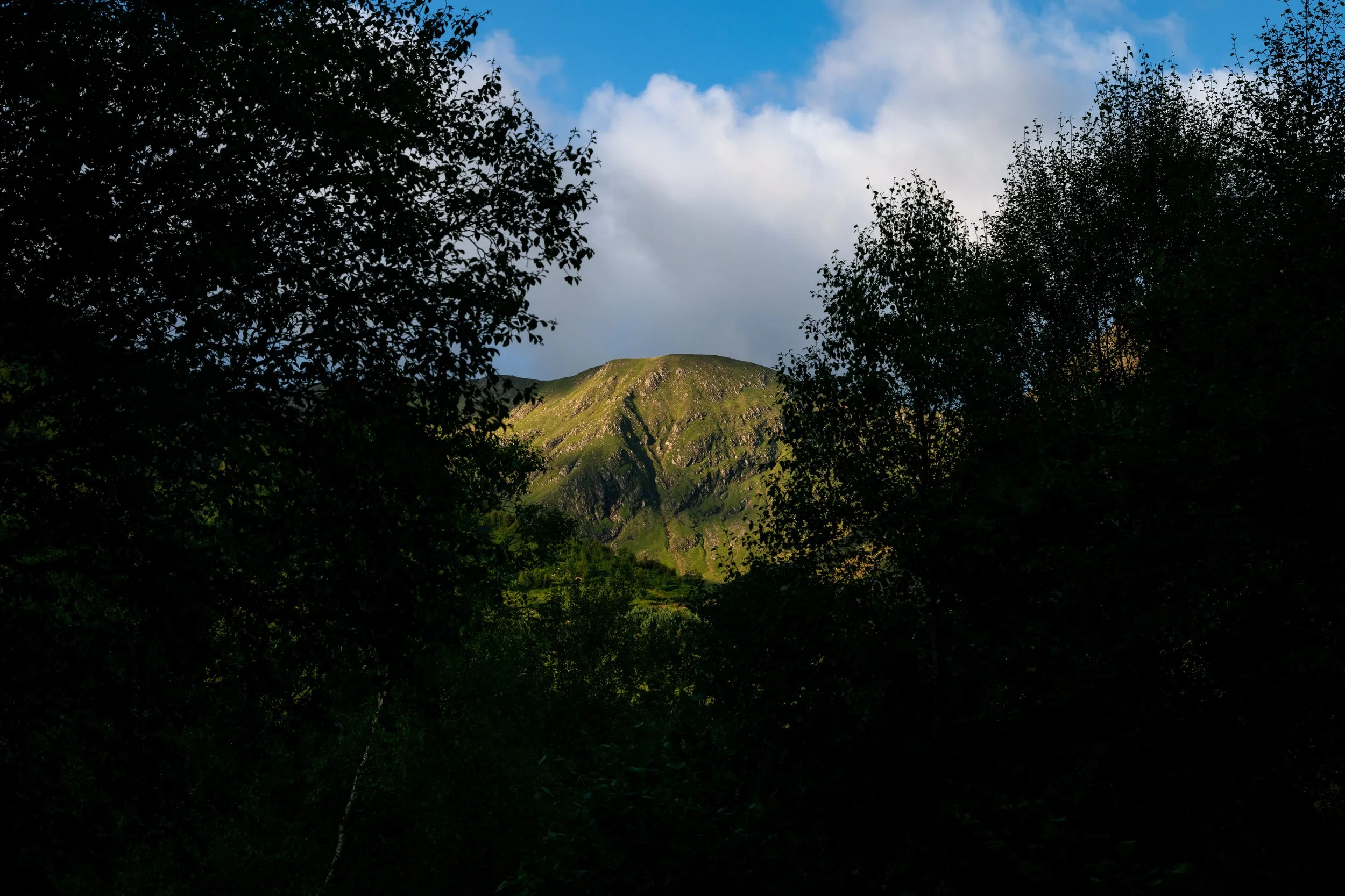 DSC_4103.jpg