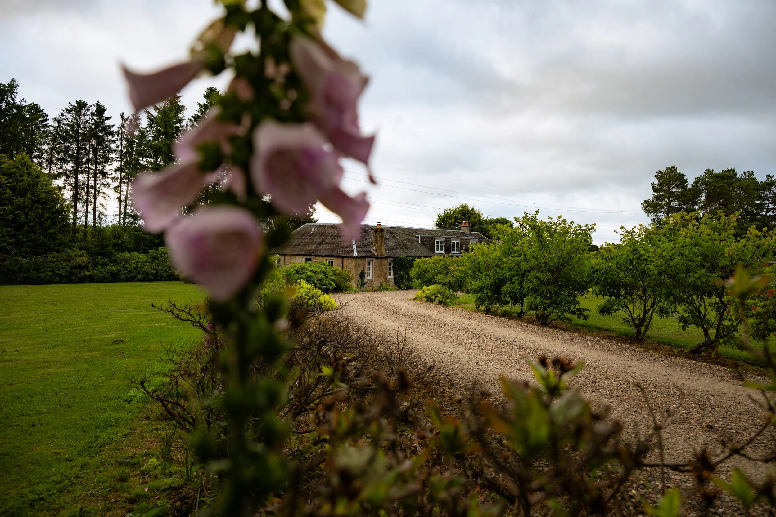 DSC_0432.jpg