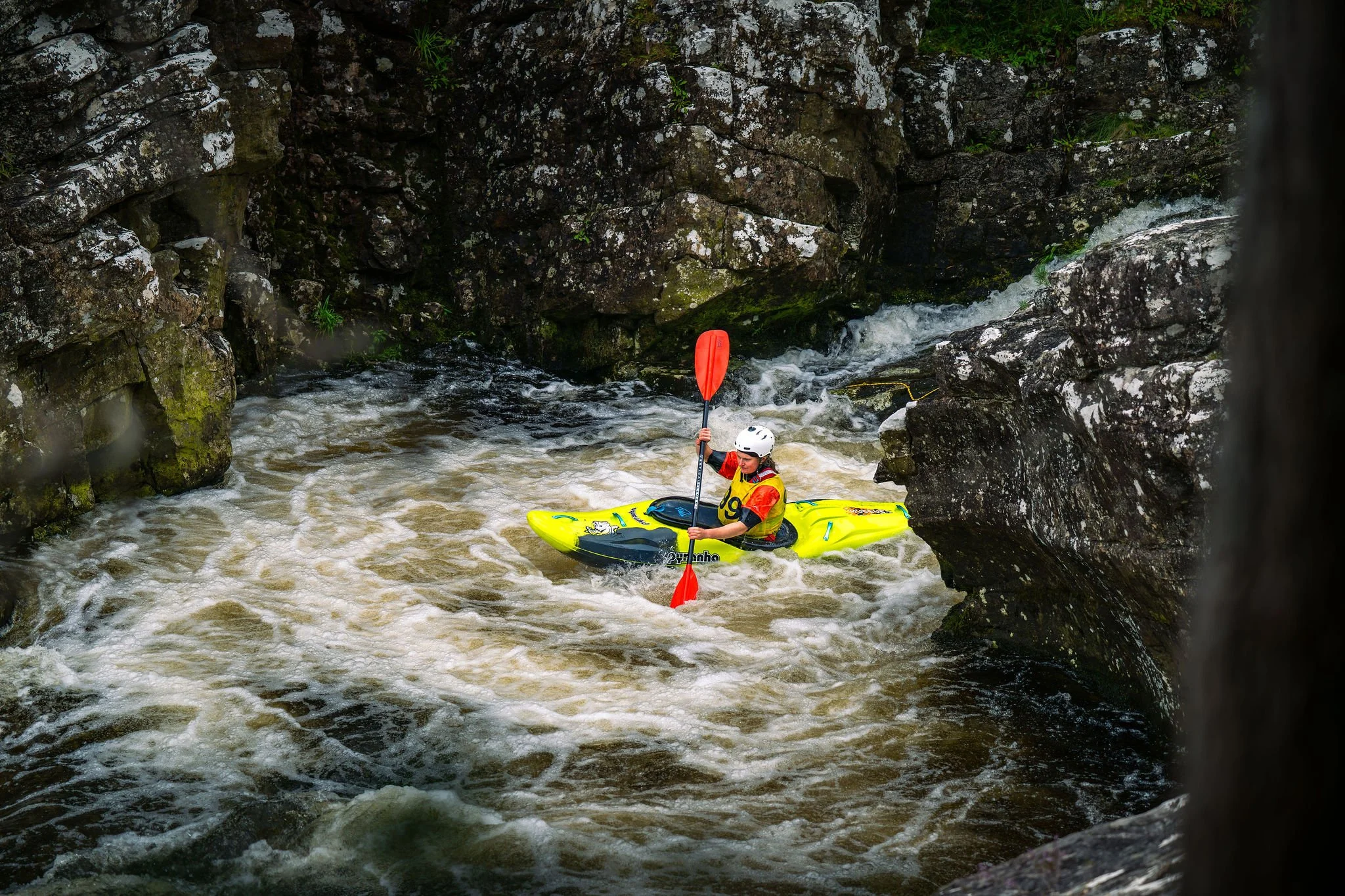DSC_3499.jpg