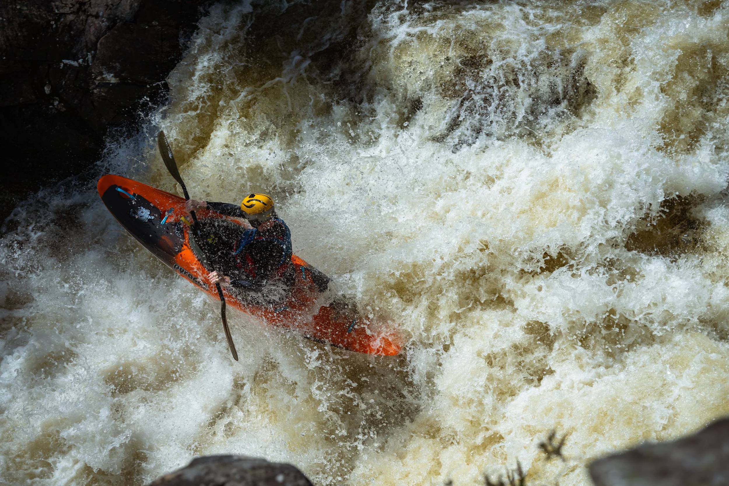 DSC_2236.jpg