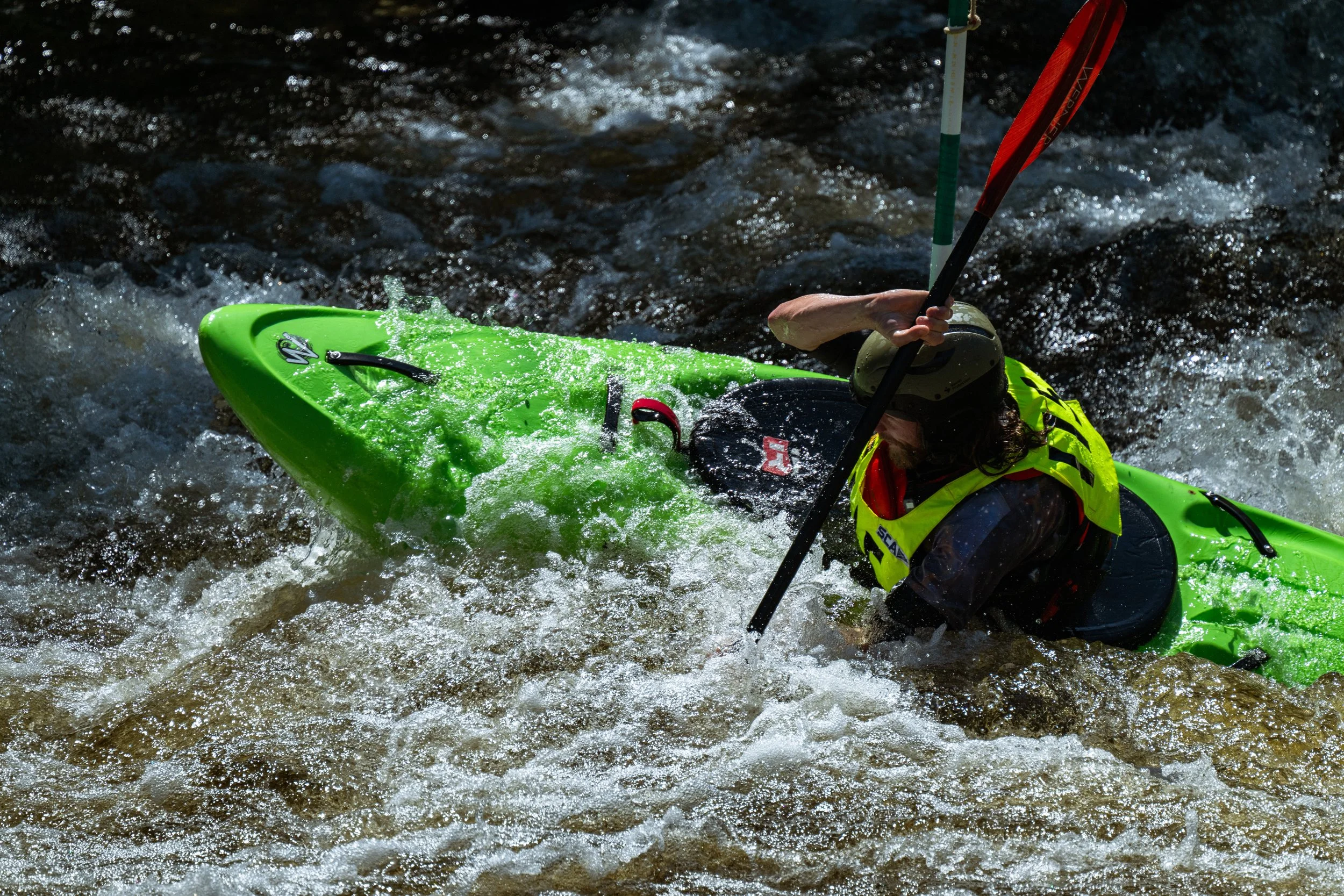 DSC_3186.jpg
